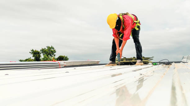 Skylights in Lakewood, WA